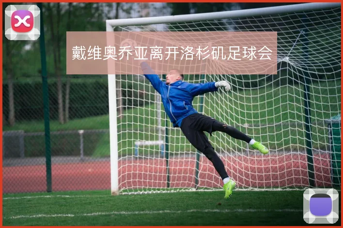 戴维奥乔亚离开洛杉矶足球会