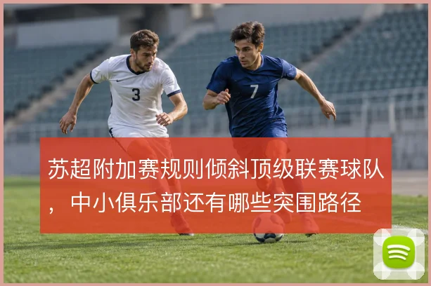 苏超附加赛规则倾斜顶级联赛球队，中小俱乐部还有哪些突围路径